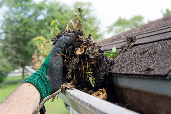 Minnesota Seasonal Home Maintenance Calendar